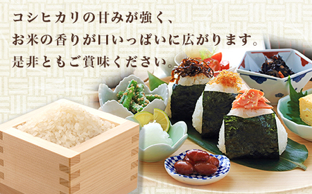 【令和7年産】コシヒカリ 4kg ファームランドさいとう 570