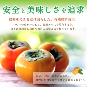 柿 紀州てまり（和歌山県ブランド柿）6～7個入 こだわり農家厳選【2026年10月初旬頃～11月中旬頃に順次発送予定】 / 柿 フルーツ 果物 かき 和歌山 かつらぎ 農家直送 贈答 【KG27】【BK027-kgr029】