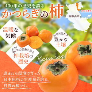 柿 富有柿 赤秀品 大玉 6個～8個入 こだわり農家厳選【2026年10月末から11月末頃に順次発送予定】 / 柿 フルーツ 果物 かき 和歌山 かつらぎ 農家直送 贈答 【BK-kgr043】