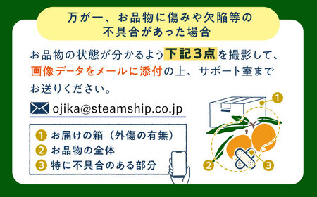 びわ 4パック【2026年5月下旬以降発送】【神川農園】 [DBT006] びわ