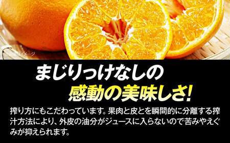 みかんジュース はるみジュース 2本  みかんジュース[AGCT001]