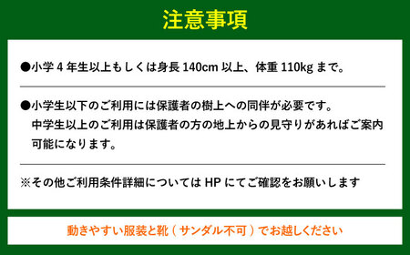 アドベンチャーコース体験チケット1名様 日田市 体験 [ARCI001]
