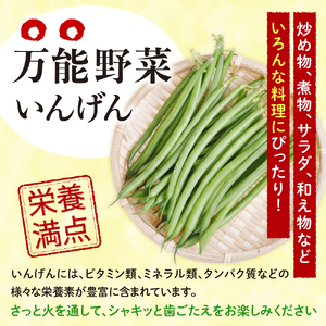 北海道十勝芽室町 十勝めむろ 冷凍野菜 いんげん 300g×3袋 me003-120c 野菜 いんげん インゲン 国産 北海道 芽室町