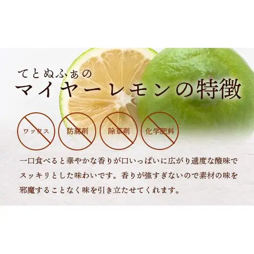 【先行受付】 黒糖レモン生シロップ200ml×2本 　TF-50