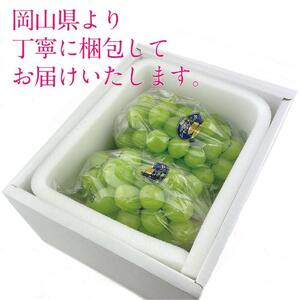 [HS]9月・10月発送 シャインマスカット 晴王 2房（合計約1.3kg） ｜  シャインマスカット