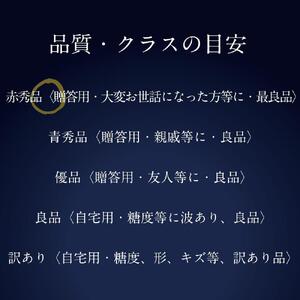 [HS]9月・10月発送 最高級品 シャインマスカット 晴王 1房 約600g ｜  シャインマスカット