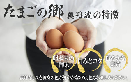 【定期便6ヶ月】たまごの郷奥丹波 10個×3パック