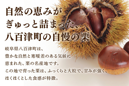 秋の自信作！銘菓「栗きんとん」15個入（藤乃屋） | 岐阜県八百津町