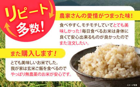 米 コシヒカリ JASオーガニック 5kg 玄米 [AQBL010]玄米 コシヒカリ