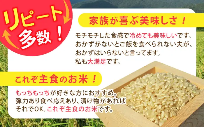 低農薬栽培 ミルキークイーン 玄米10kg[AQBL021] ミルキークイーン
