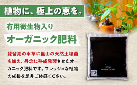 天然土壌菌入り肥料 湖の恵 屋内混合タイプ 2kg×2[AQBR003] 肥料
