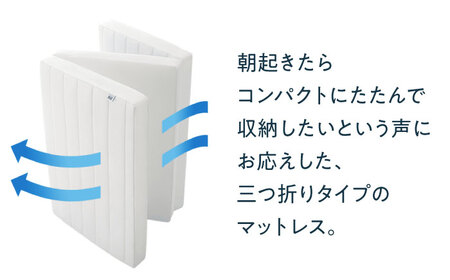 【マット枕セット】エアウィーヴ スマートZ01 ダブル＆ピロースリム[AQBV169] 寝具