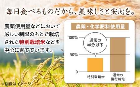 滋賀県産【特別栽培米】もち米 羽二重糯 3kg[AQCQ007] もち米