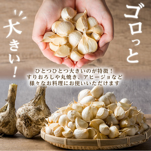 特選バラにんにく 3kg にんにく ニンニク ガーリック 六片種 ばら ホワイト おつまみ 健康 食品 料理 産地直送 宮城県 大和町 【株式会社ファーム沢渡】ta501