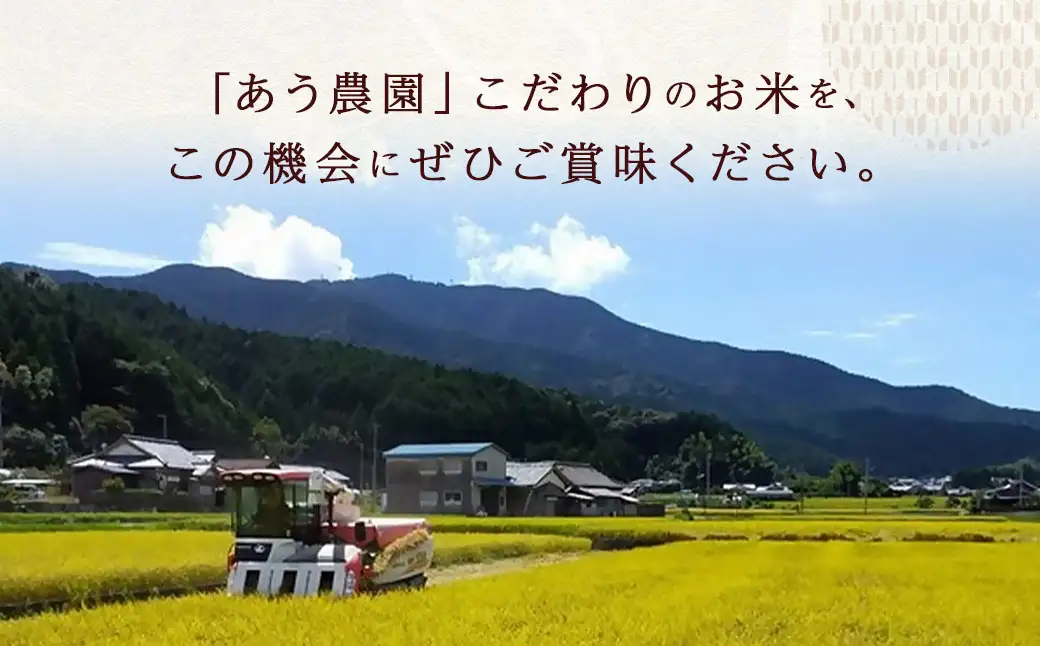 【令和7年産】 ひめの凜プレミアム＆自然環境米 鬼北のせせらぎ（コシヒカリ） 各2kg 計4kg コシヒカリ ひめの凜プレミアム 鬼北のせせらぎ 米 お米 ご飯 飯 愛媛県【えひめの町（超）推し！（鬼北町）】（390-2）
