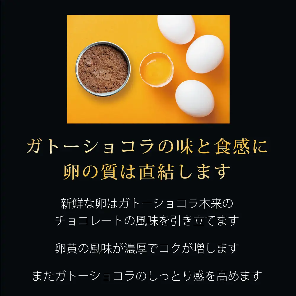 ガトーショコラ 缶詰 6缶セット スイーツ 缶詰