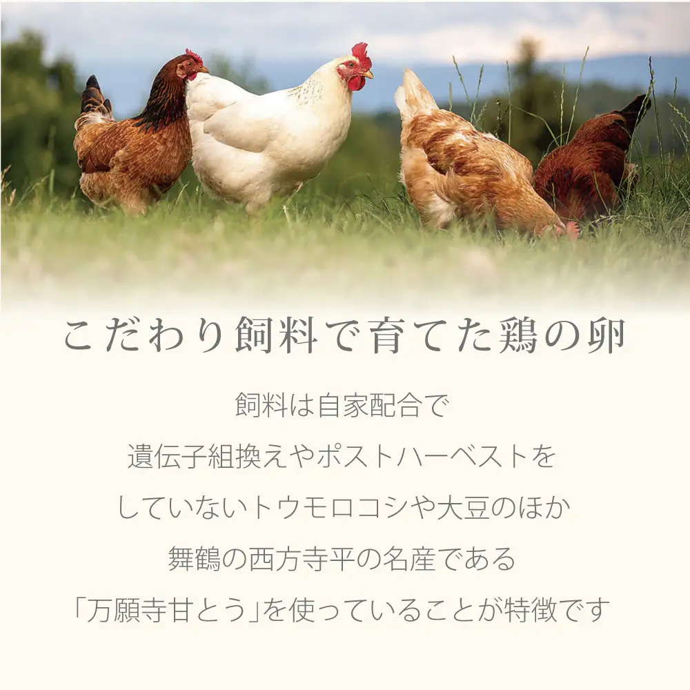 チーズケーキ 缶詰 3缶セット スイーツ 缶詰