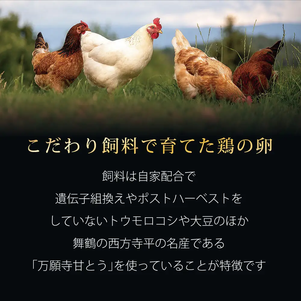 ガトーショコラ・チーズケーキ 缶詰 スイーツ 6缶セット 缶詰