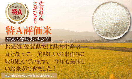 R７年度産（令和７年度産） 佐賀ブランド 米「 さがびより 」 10kg（5Kg×2袋） C250-009