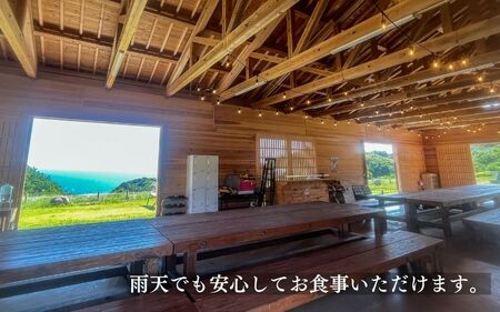 太平洋を一望！　日帰りBBQプラン 2名様　バーベキューサウナ / キャンプ きゃんぷ テント アウトドア BBQ サウナ 焚火 肉 バーベキュー 口コミ 海 すさみ町 和歌山 【not003】