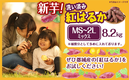 【新芋】芋名人が認めるさつまいも『洗い済み　紅はるか』8.2kg MS～2Lミックス ※9月～11月頃順次発送_LG-L701-N_(都城市) 宮崎県都城産 紅はるか MS～2Lミックス 約8.2kg