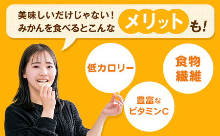 みかん 早味かん 約4kg  南国フルーツ株式会社【26年度出荷】《9月中旬-9月下旬頃出荷》福岡県 鞍手町 福岡県産 みかん 早味かん フルーツ 果物 