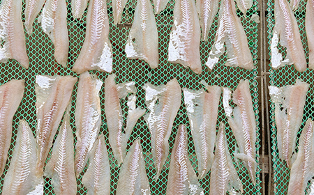 マルヒ母さんの美味いっタラ！フライ ＜プレーン味＞ 15個（60g×5個入 3箱） 北海道 鱈 タラ たらフライ タラフライ おかず お弁当 簡単 簡単調理 魚 たら フライ 白身 惣菜 揚げ物 F4F-7806