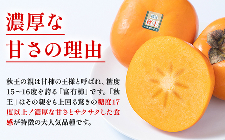 柿 秋王 約3kg（8-12玉） 南国フルーツ株式会社【26年度出荷】《10月下旬-11月末頃出荷》福岡県 鞍手町 福岡県産 柿 フルーツ 果物
