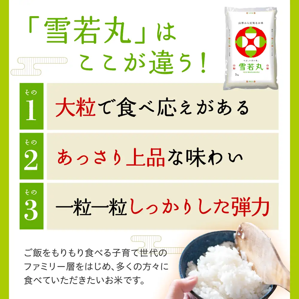 令和7年産 山形県産 雪若丸 10kg 精米 雪若丸
