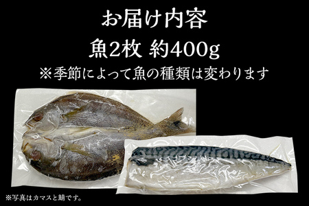 訳あり干物セット 訳あり 訳アリ 干物 魚 海鮮 カマス サバ 鯖 さば ひもの 冷凍 季節のおすすめ おかず 和食 玄界灘 福岡 グリル 約400g 2枚 開き お取り寄せ 食べ比べ おつまみ 肴 グルメ お取り寄せグルメ