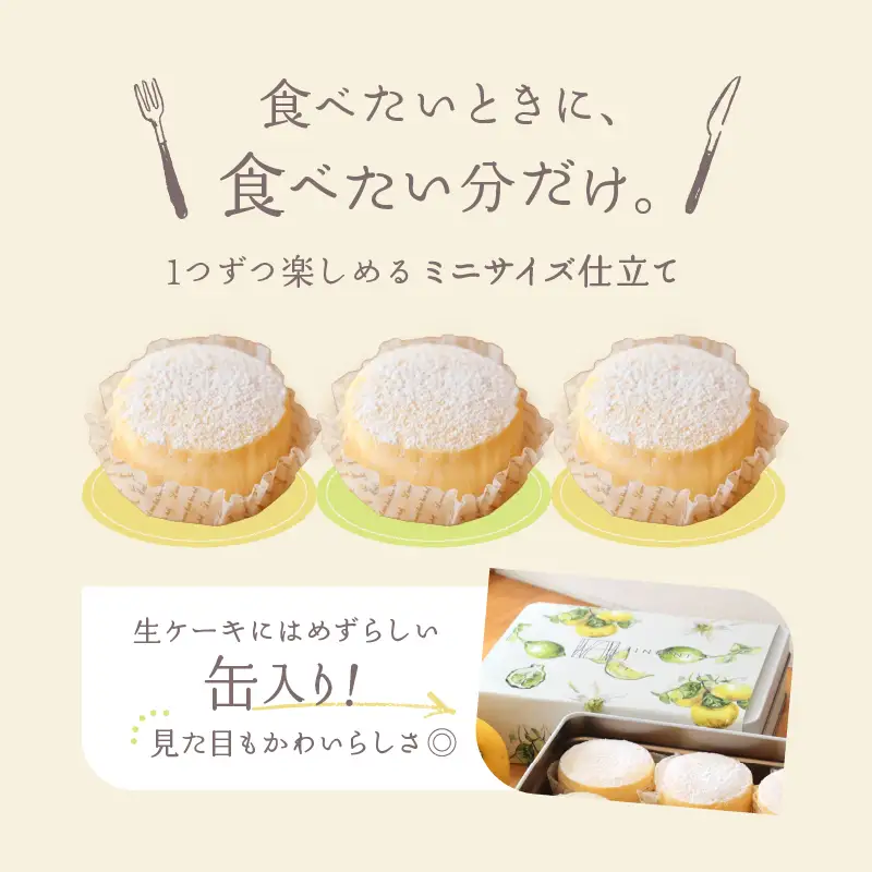 【INFINI】チーズケーキKANKAN【濃厚 チーズケーキ テリーヌ 柑橘 デザート 冷凍 スイーツ ギフト 贈り物 プレゼント 人気 おやつ ご褒美 絶品 】_0004-002-se4