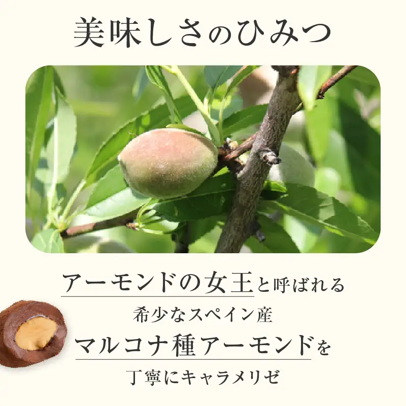 【パティスリーショコラトリーレシィ】アマンドショコラ / チョコレート スイーツ 洋菓子 焼き菓子 詰め合わせ クッキー ギフト プレゼント 贈り物 _0021-003-se5
