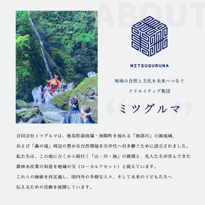 先行予約【定期便】 日本晴 白米 5kg×3回 3ヶ月連続 天然にがり栽培 にっぽんばれ 希少 品種 お寿司 ピラフ チャーハン【2026年10月より順次発送】