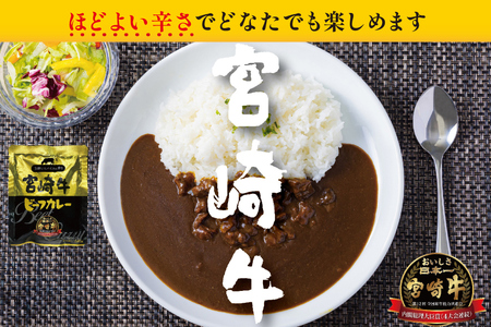 カレー 3回 定期便 レトルト 宮崎牛カレー 160g 12袋 総計36袋 [九州産商 宮崎県 日向市 452061182]