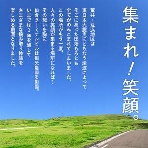 旬の果物摘み取り体験チケット　1回5,000円分　【チケット 券 人気 おすすめ 】