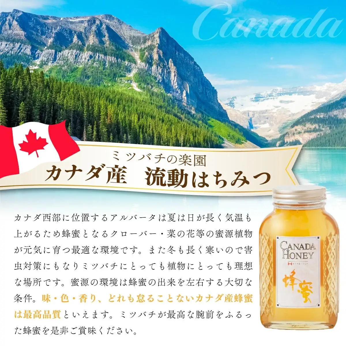 はちみつ ハンガリー産「アカシア蜂蜜」・カナダ産「流動蜂蜜」 はちみつ