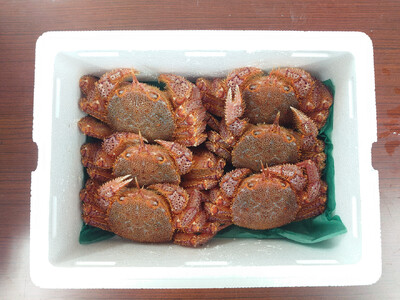 ＜濃厚＞三陸産活毛ガニ約250g×6匹 かに 蟹 毛ガニ 新鮮