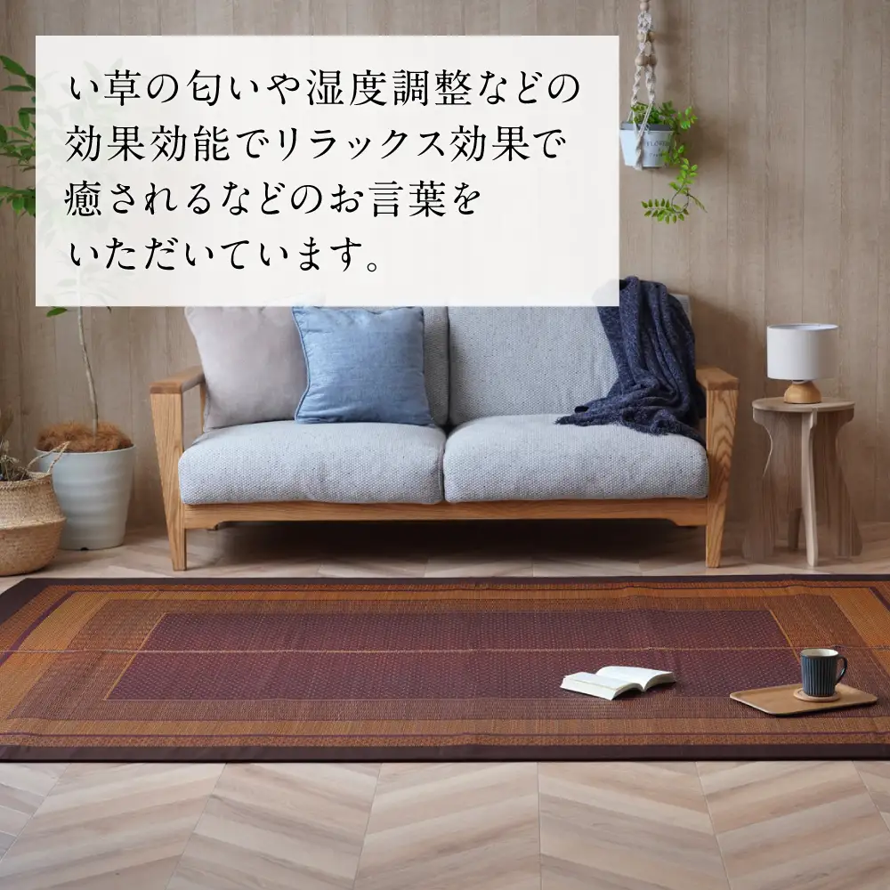 熊本県八代市産のい草を使って織り上げたラグ『DXランクス』(サイズ：176cm×230cm)(カラー：ワイン) 国産 イグサ 茣蓙 ござ ラグ カーペット 絨毯 マット 織物 敷き物 インテリア