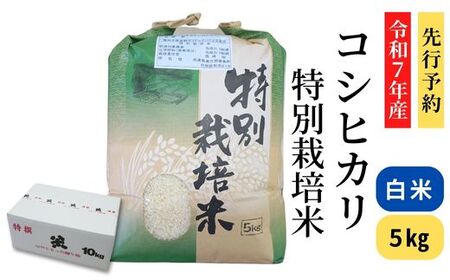 先行予約 令和7年産米 村岡産 コシヒカリ 特別栽培米 精米5kg 米 71-01