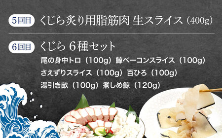 【6回定期便】贅沢三昧くじら食べ比べ定期便[OBR014]