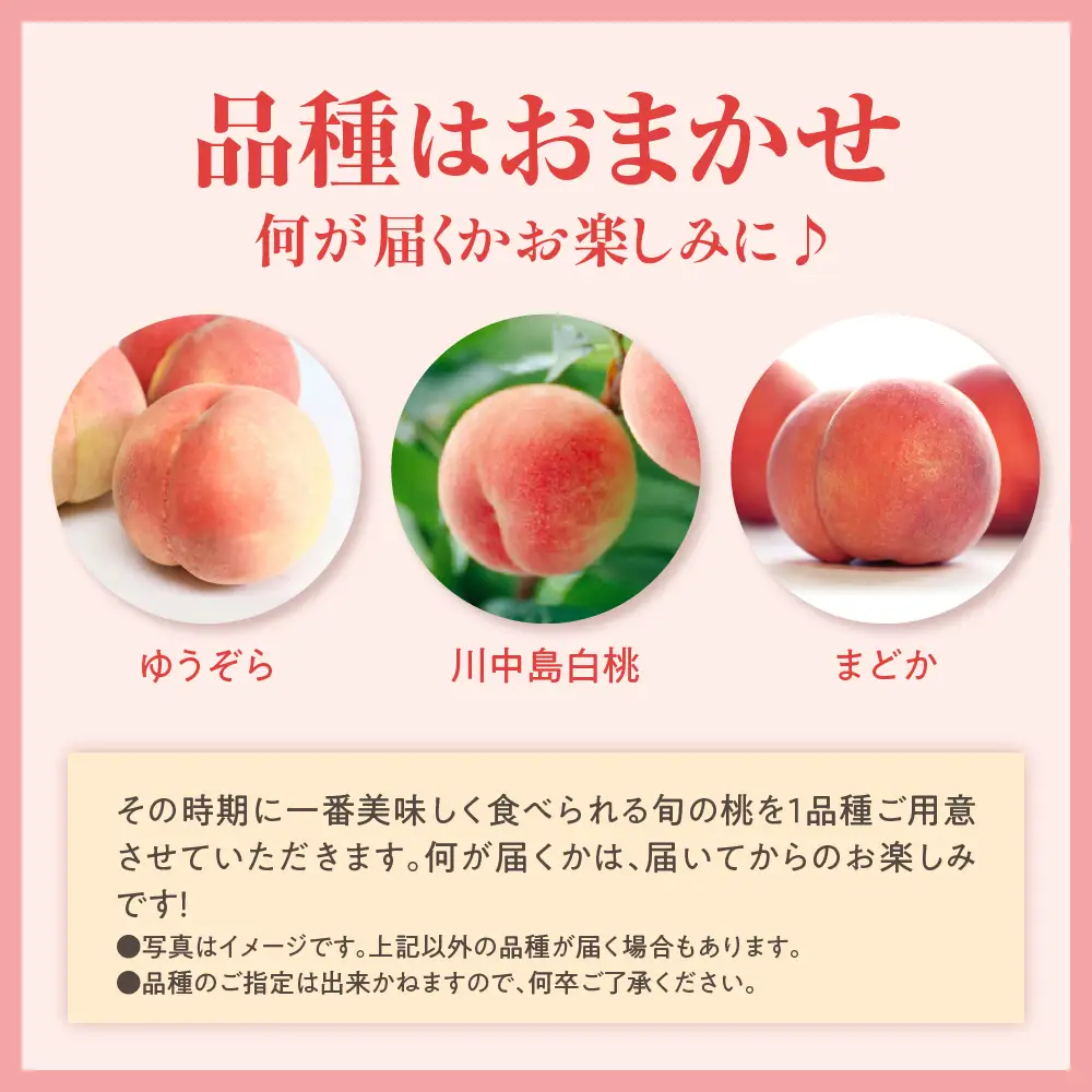 先行予約 数量限定 令和8年産 もも 約2kg 品種 おまかせ 桃