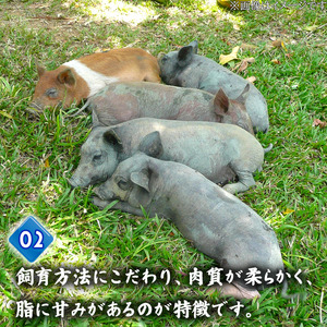 【 とんかつ 】 とんかつ 720g