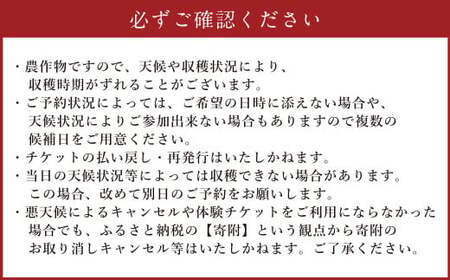 【体験期間毎年7月上旬～8月上旬限定】竹田市菅生のスイートコーン！その場でガブリ！収穫体験～お1人様5本持ち帰れる！～（1チケット15名様チケット）