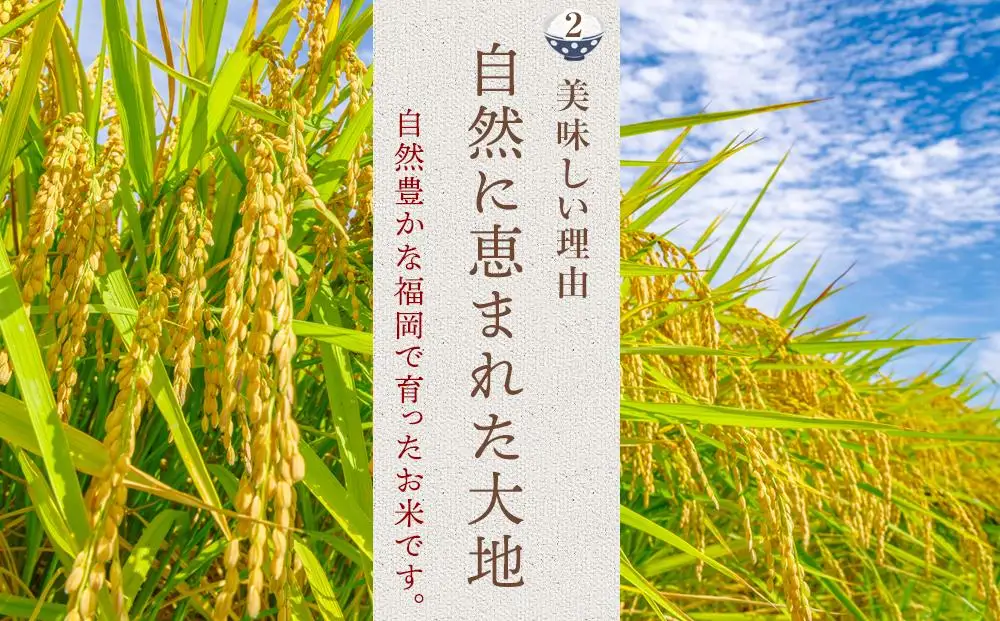 【令和7年産】福岡県産 米 夢つくし 5kg × 1袋 | 米 お米 こめ 白米 精米 ライス ブランド米 美味しい ご飯 おいしい ごはん