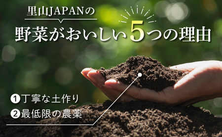 【先行受付2026年発送】長野県産新じゃがいも 生きた土壌で育った『白土馬鈴薯5kg』｜里山JAPAN※2026年8月上旬以降発送予定