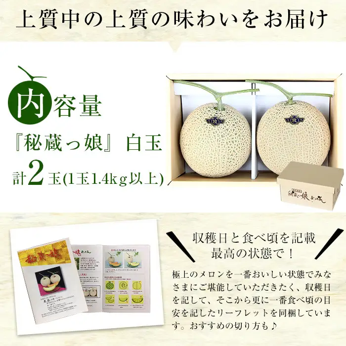 極上メロン「秘蔵っ娘」白玉(青肉)2個 メロン マスクメロン 果物 くだもの デザート 青肉 b5-037