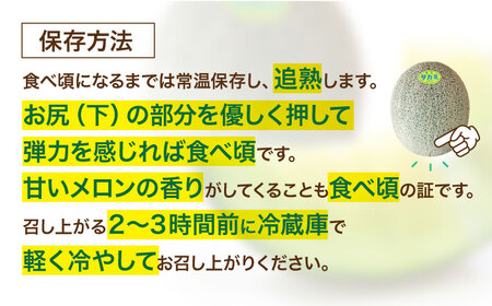 メロン【6月下旬から順次発送】 タカミ メロン Lサイズ 2玉入り（2.2kg～2.5kg) メロン[AGDG003]