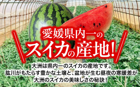 メロン【6月中旬から順次発送】 祭りばやしスイカ 1玉入り（7kg～10kg) メロン[AGDG005]