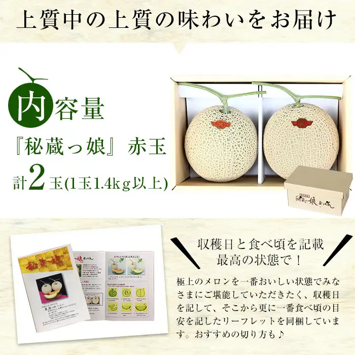 極上メロン「秘蔵っ娘」赤玉(赤肉)2個 メロン マスクメロン 果物 くだもの デザート 赤肉 b5-036