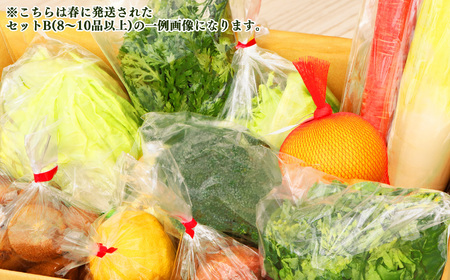 季節の野菜セットC | 詰め合わせ 果物 新鮮 お試し おすすめ 冬 春 夏 秋 国産 奈良県 五條市